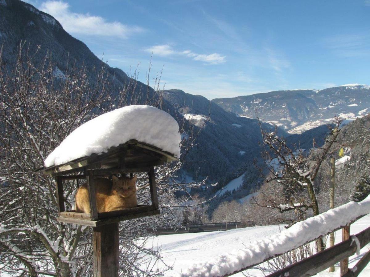 Ritschhof *